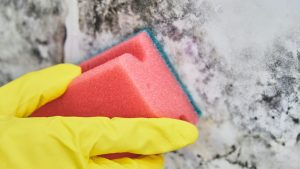 Nettoyage des jouets de bain : le guide complet et facile - Le mag
