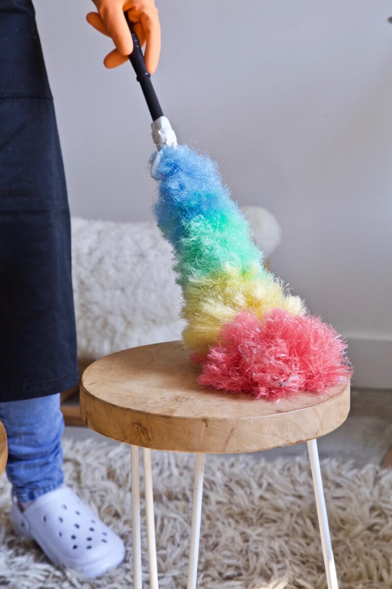 devenir femme de ménage