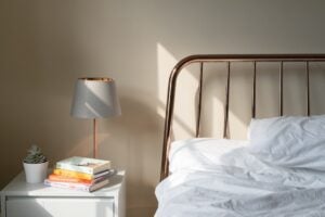 découverte puce de lit