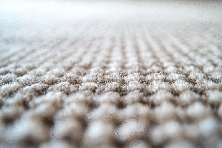 Image moquette nettoyée