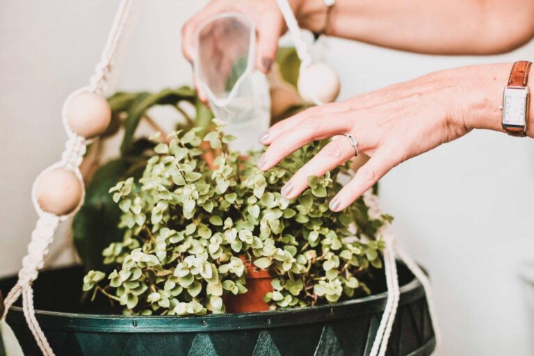 mains vernis nude molleton rose nude