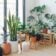 Astuces efficaces pour nettoyer les feuilles de vos plantes d&rsquo;intérieur et les garder éclatantes
